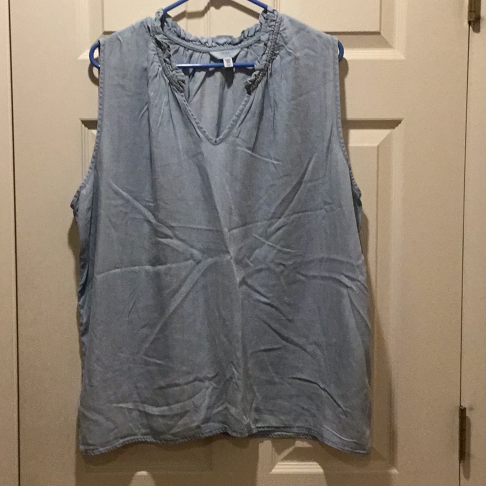 Terra & Sky Short Sleeved Denim Shirt, Size xxx (22)